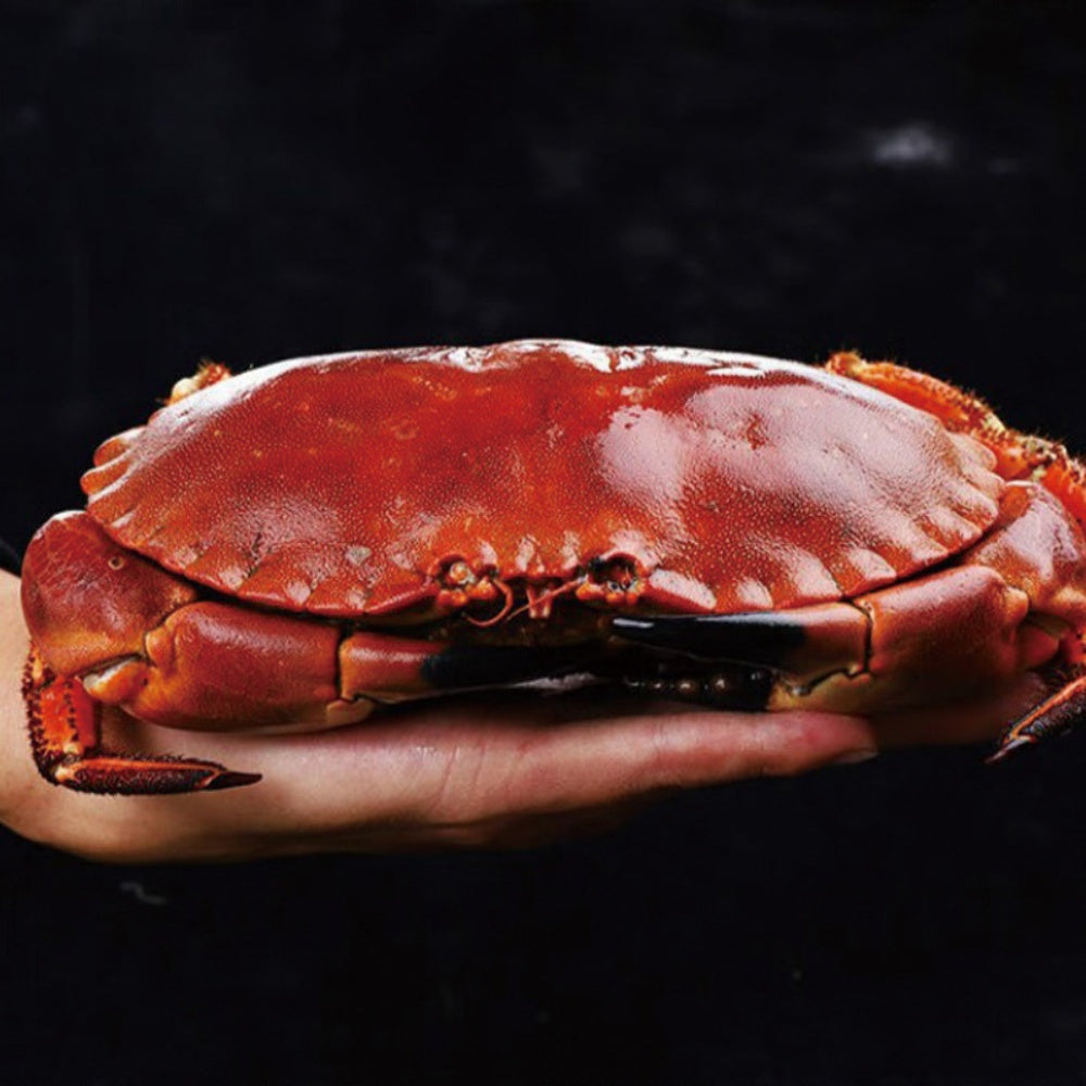 Premium Whole Red Crab – Sweet, Juicy & Ready to Serve