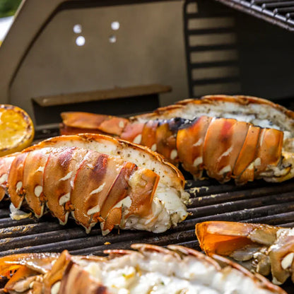 Premium Lobster Tail – Sweet, Firm & Chef-Ready